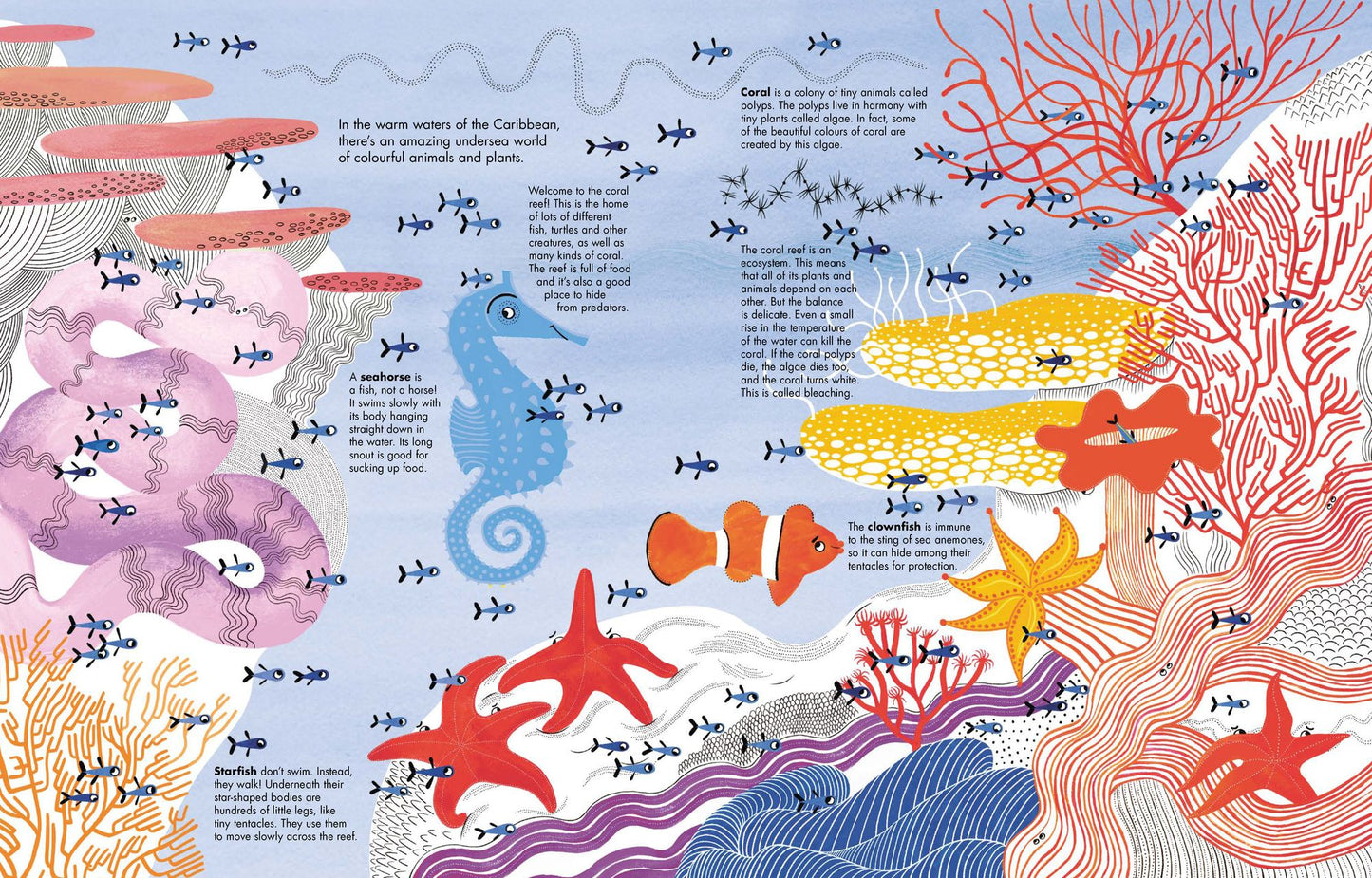 1001 Fish