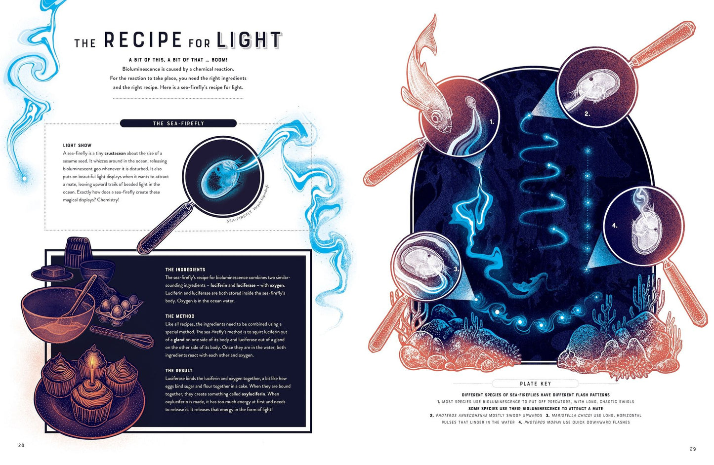 Glow: The wild wonders of bioluminescence