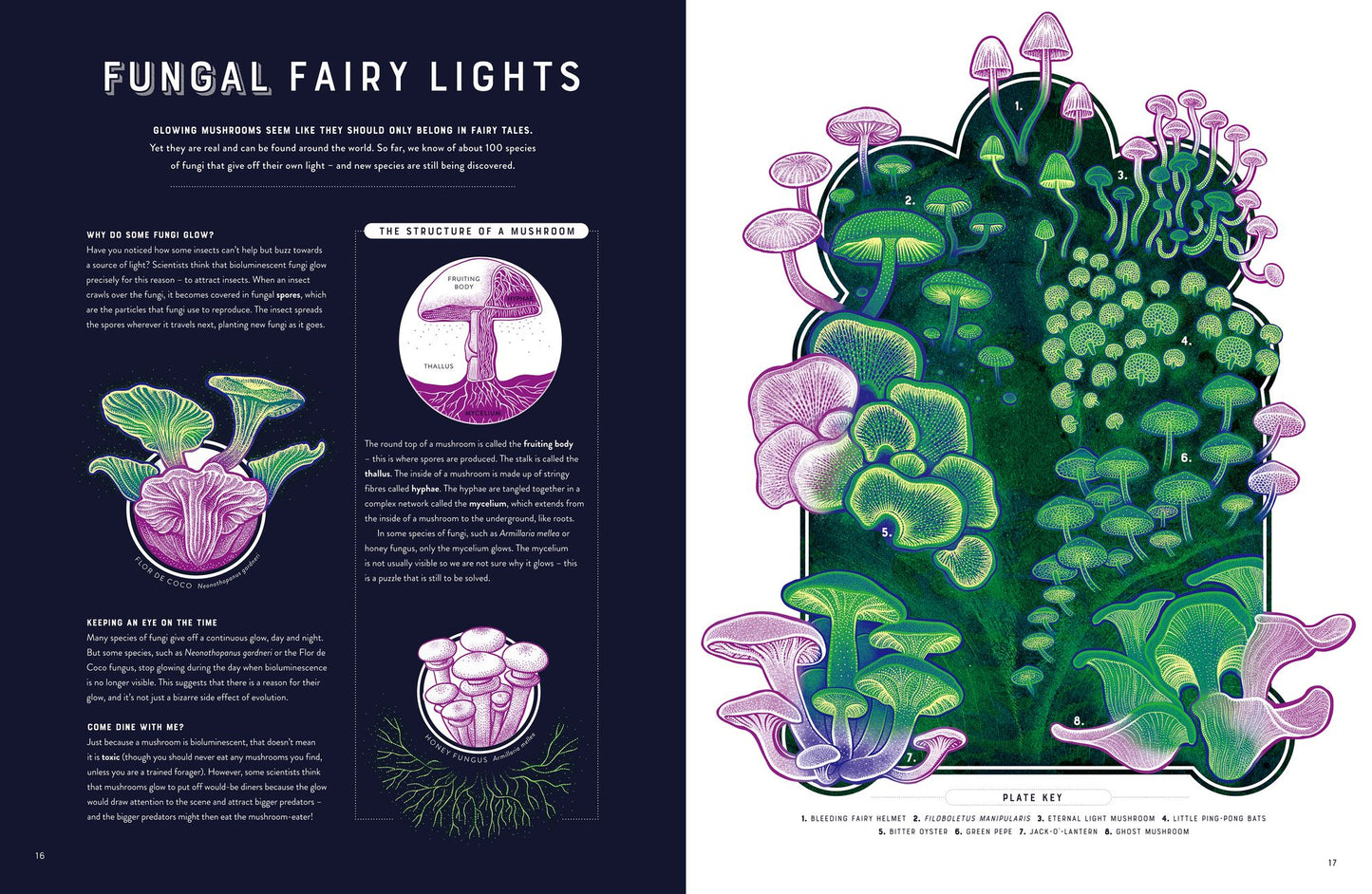Glow: The wild wonders of bioluminescence
