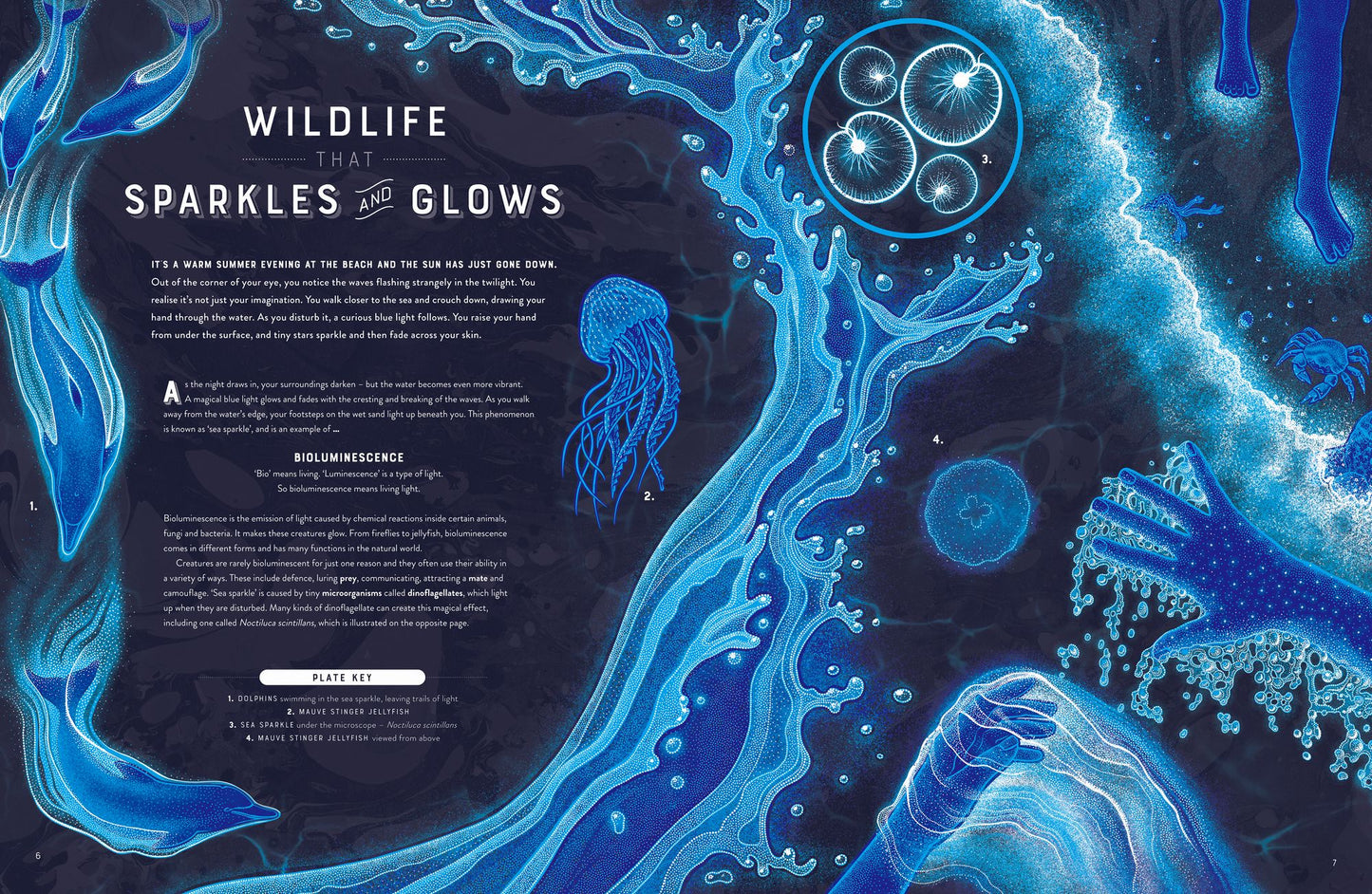 Glow: The wild wonders of bioluminescence