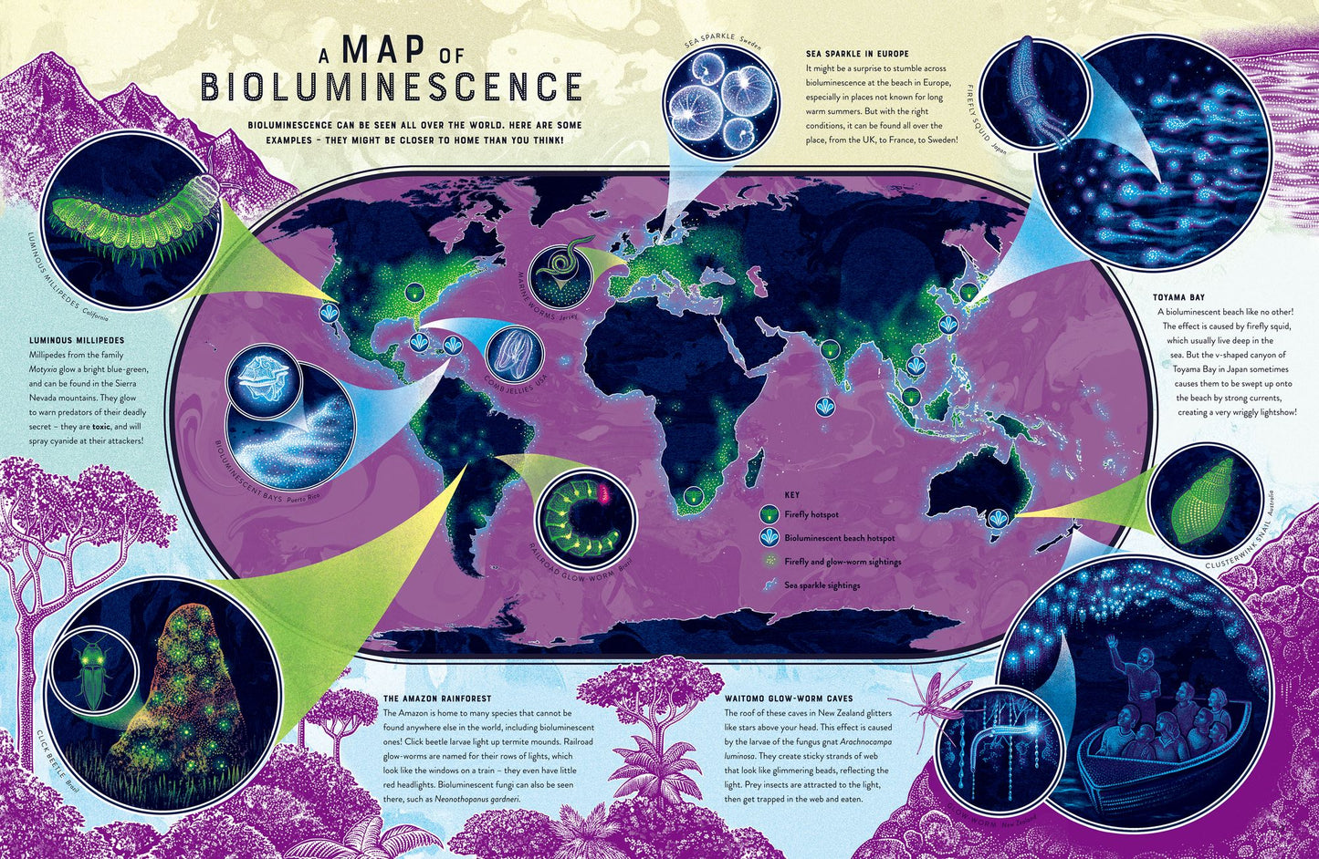 Glow: The wild wonders of bioluminescence