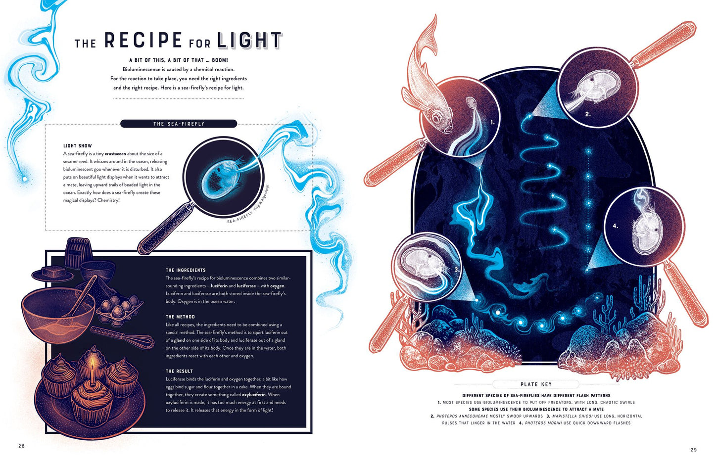 Glow: The wild wonders of bioluminescence