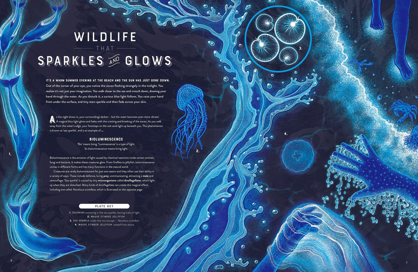 Glow: The wild wonders of bioluminescence