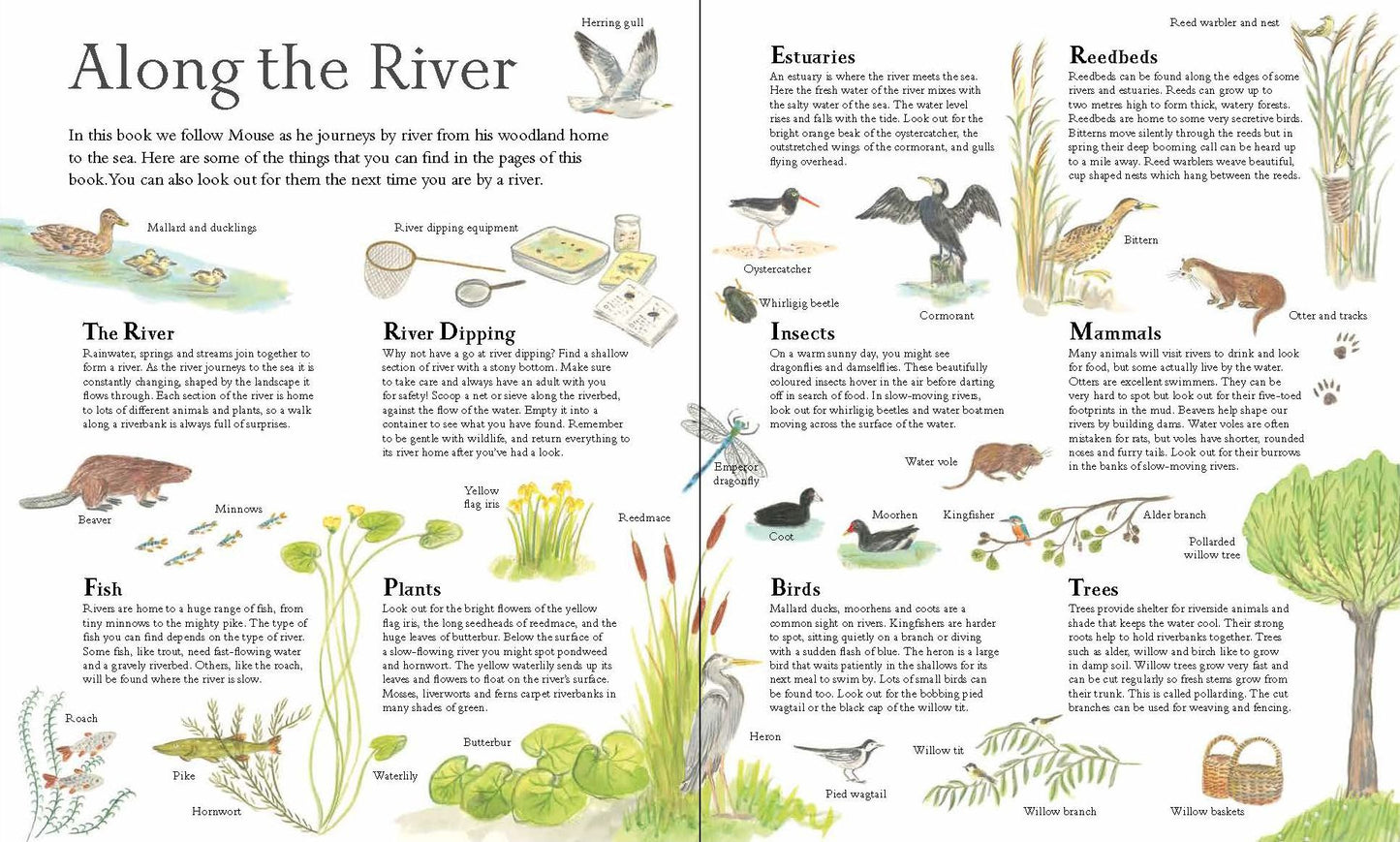 Mouse on the River