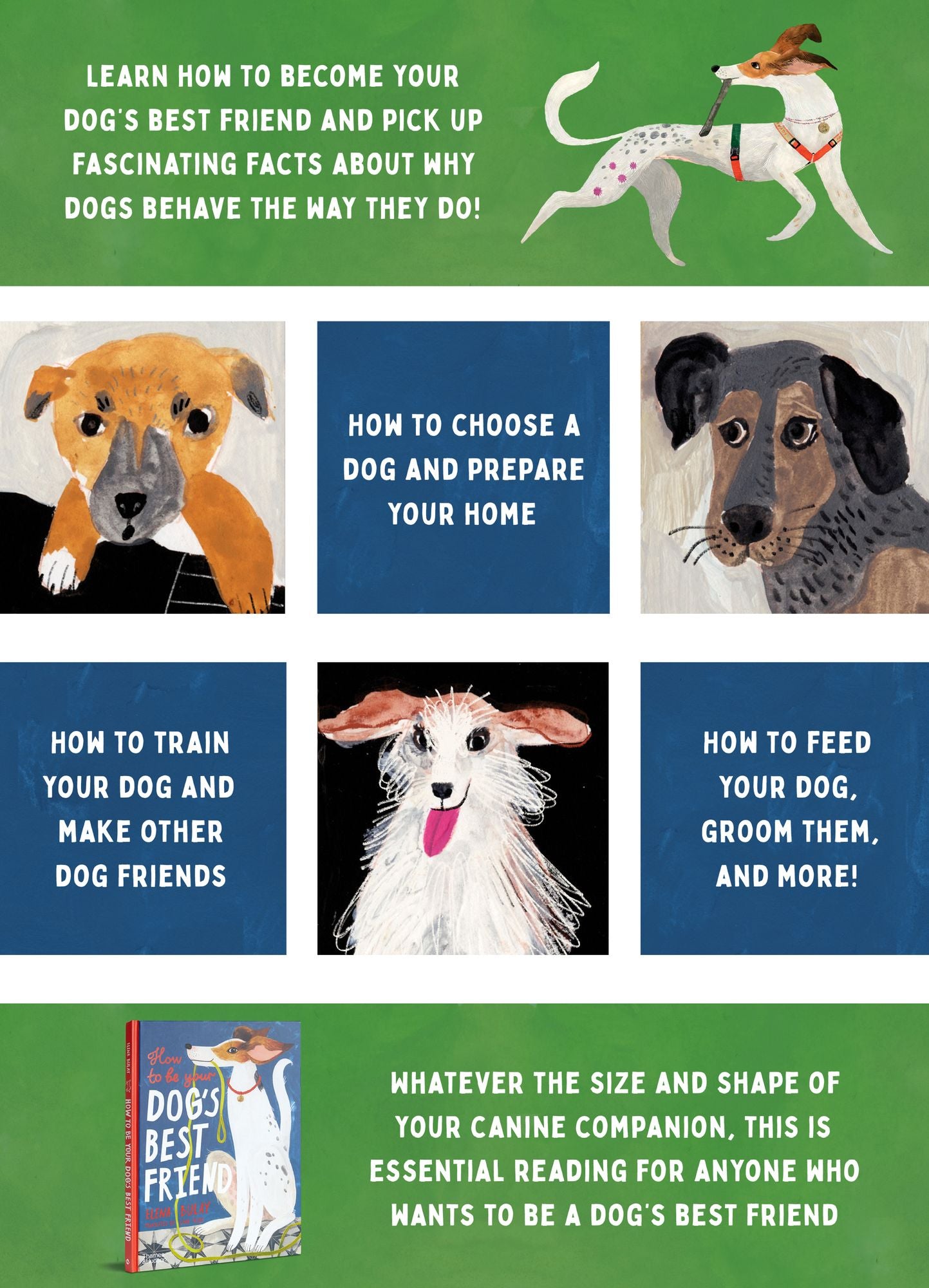 How to be Your Dog's Best Friend