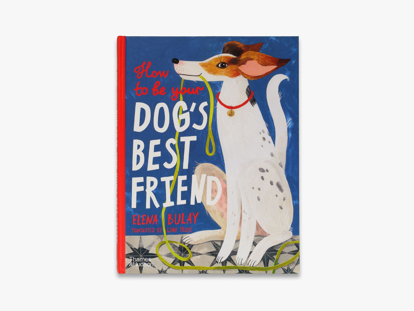 How to be Your Dog's Best Friend