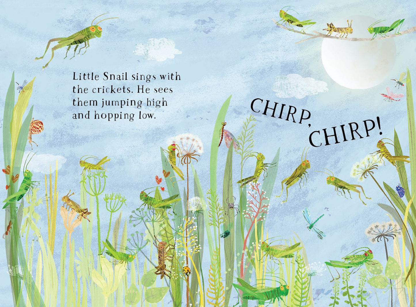 Little Snail's Book of Bugs