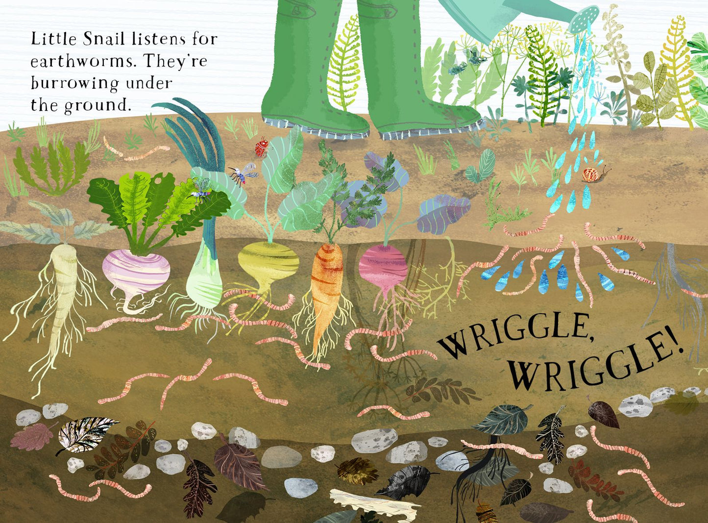 Little Snail's Book of Bugs