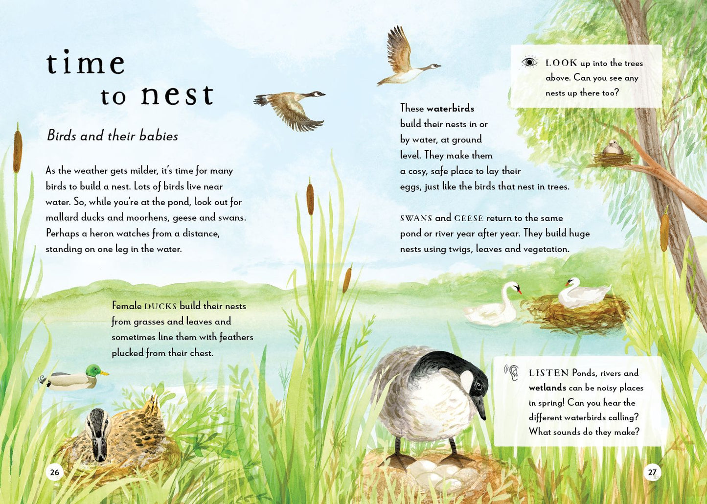 A Field Guide to Spring: Play and learn in nature