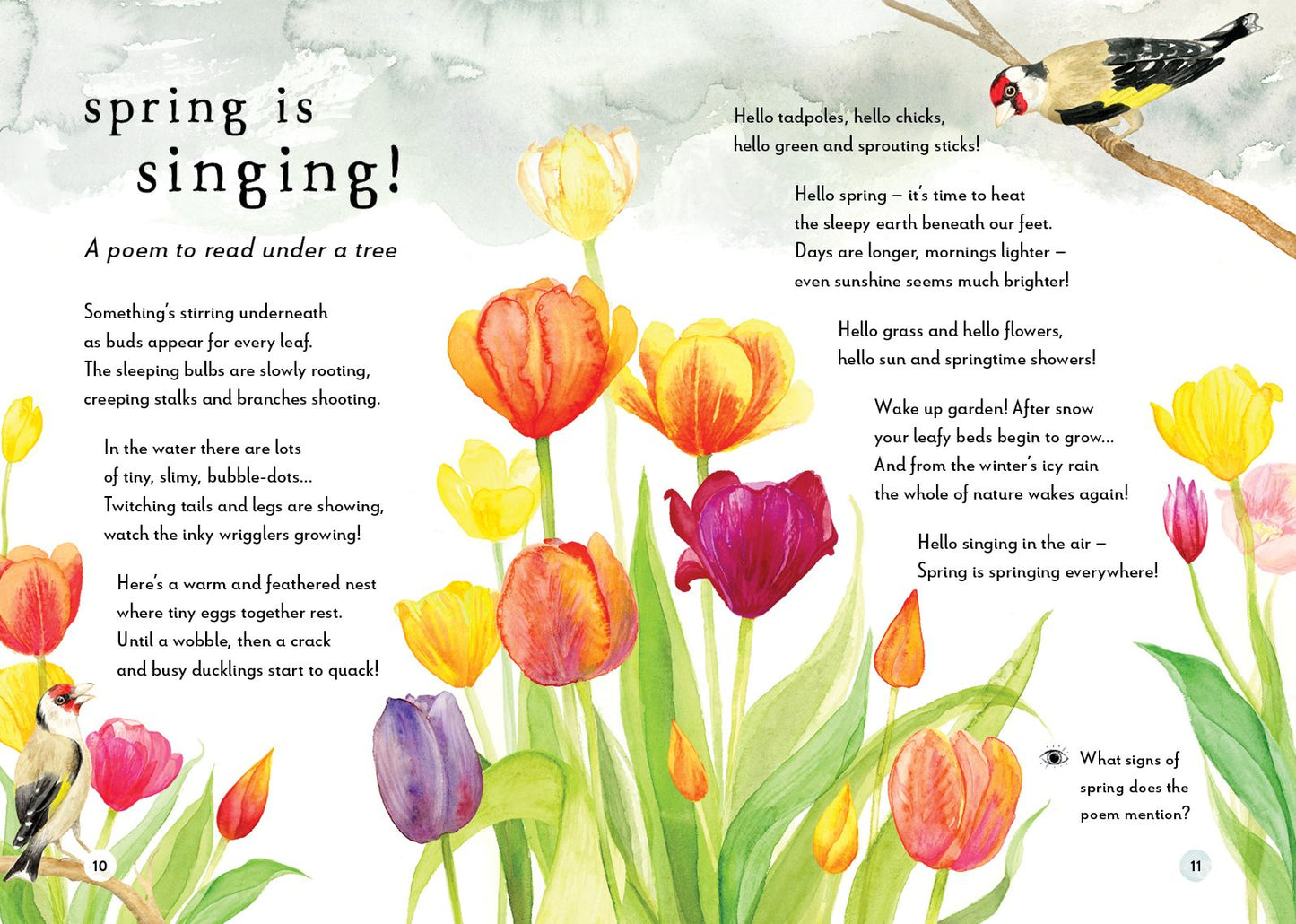 A Field Guide to Spring: Play and learn in nature
