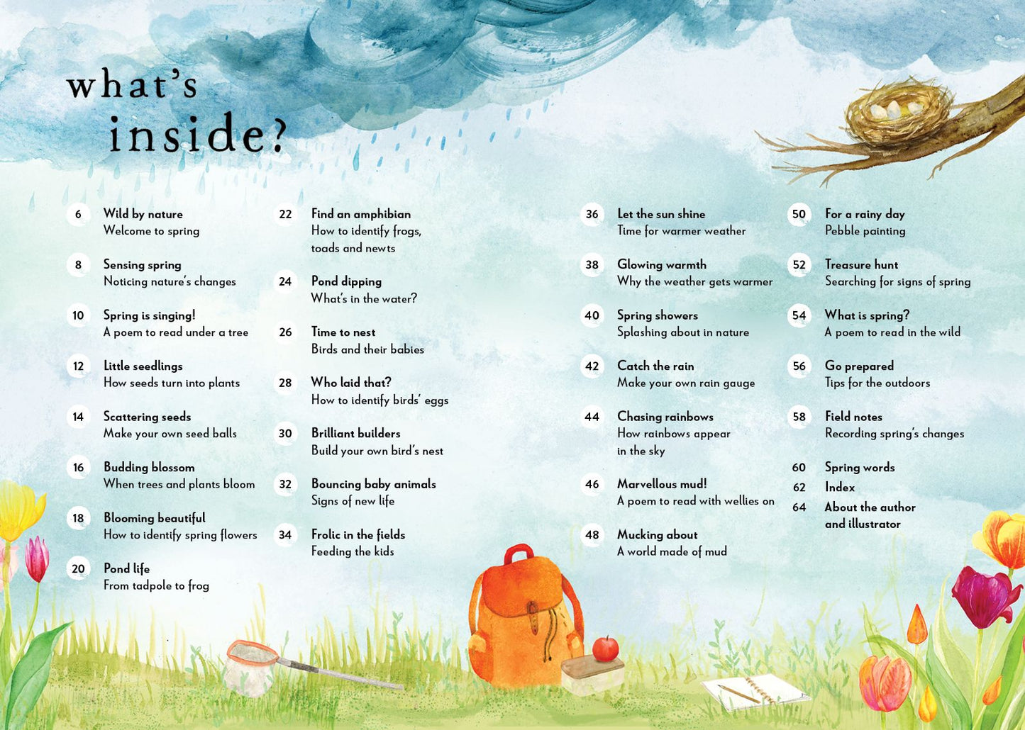 A Field Guide to Spring: Play and learn in nature