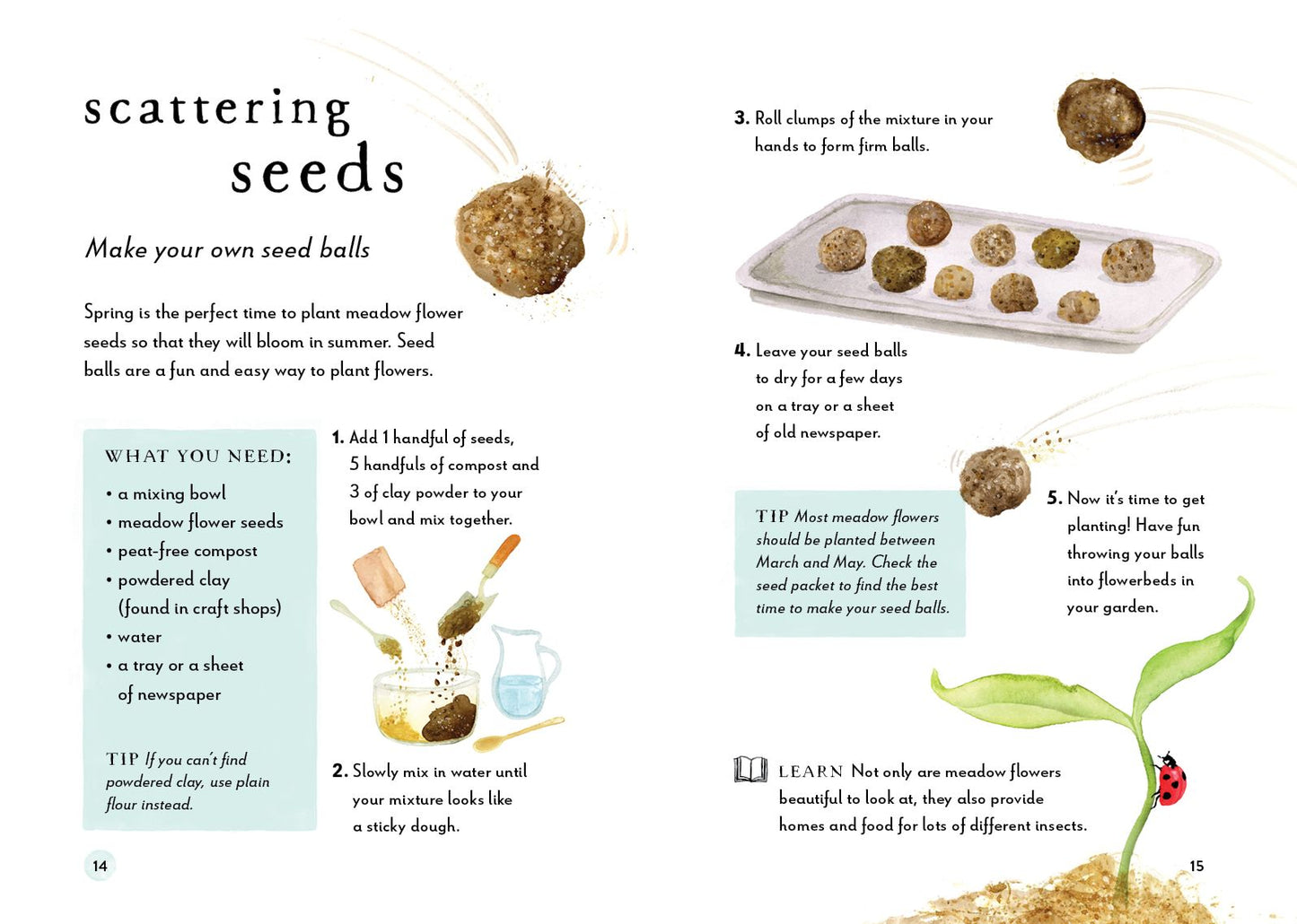 A Field Guide to Spring: Play and learn in nature
