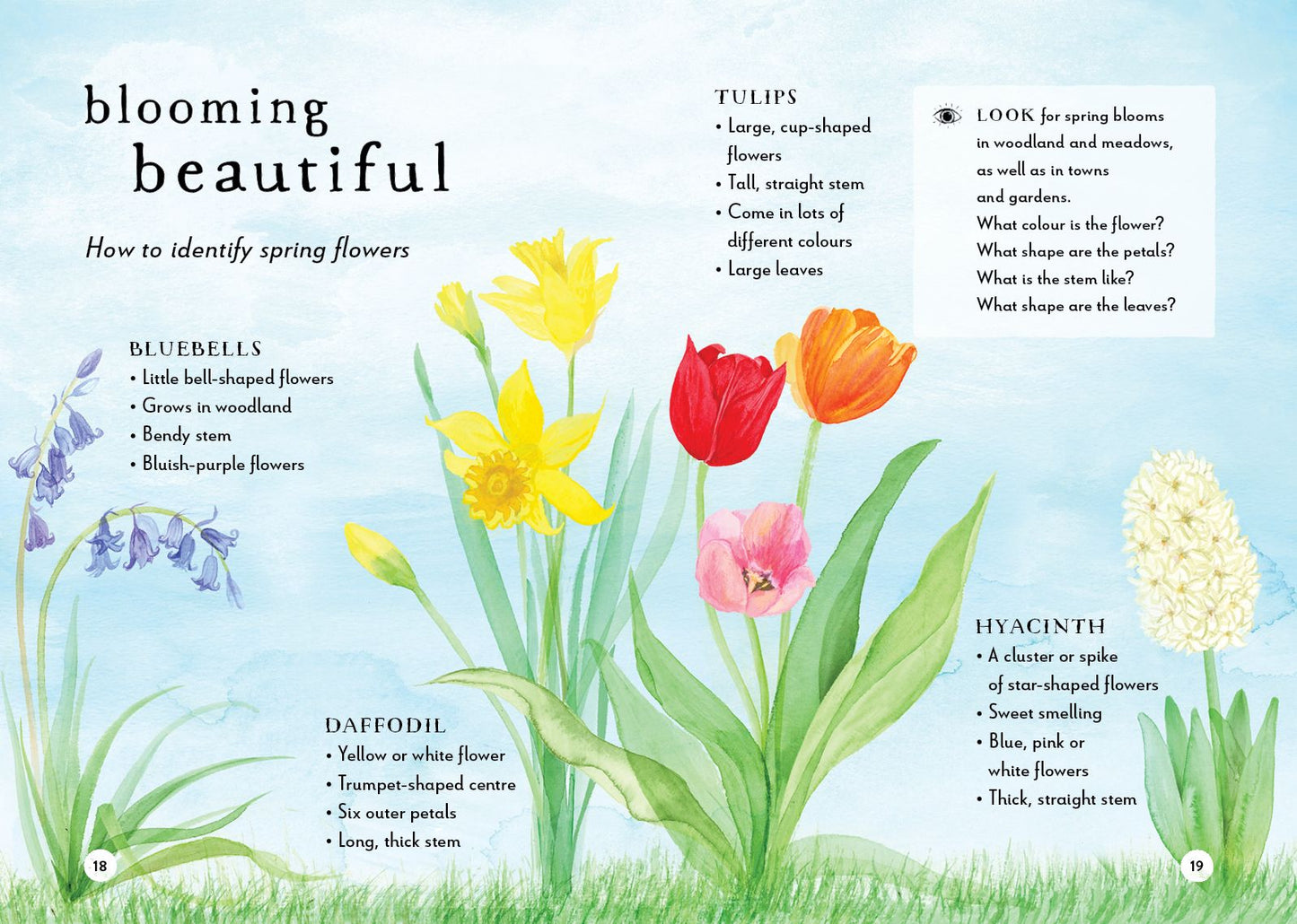 A Field Guide to Spring: Play and learn in nature