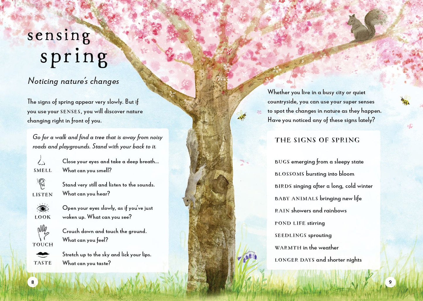 A Field Guide to Spring: Play and learn in nature