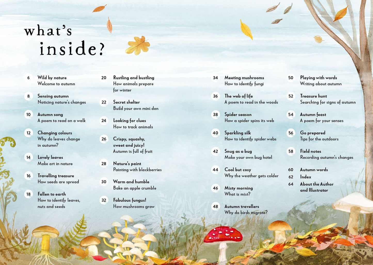 A Field Guide to Autumn: Play and learn in nature