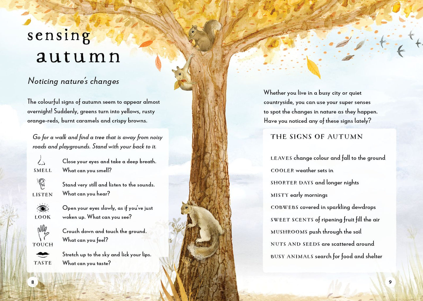 A Field Guide to Autumn: Play and learn in nature