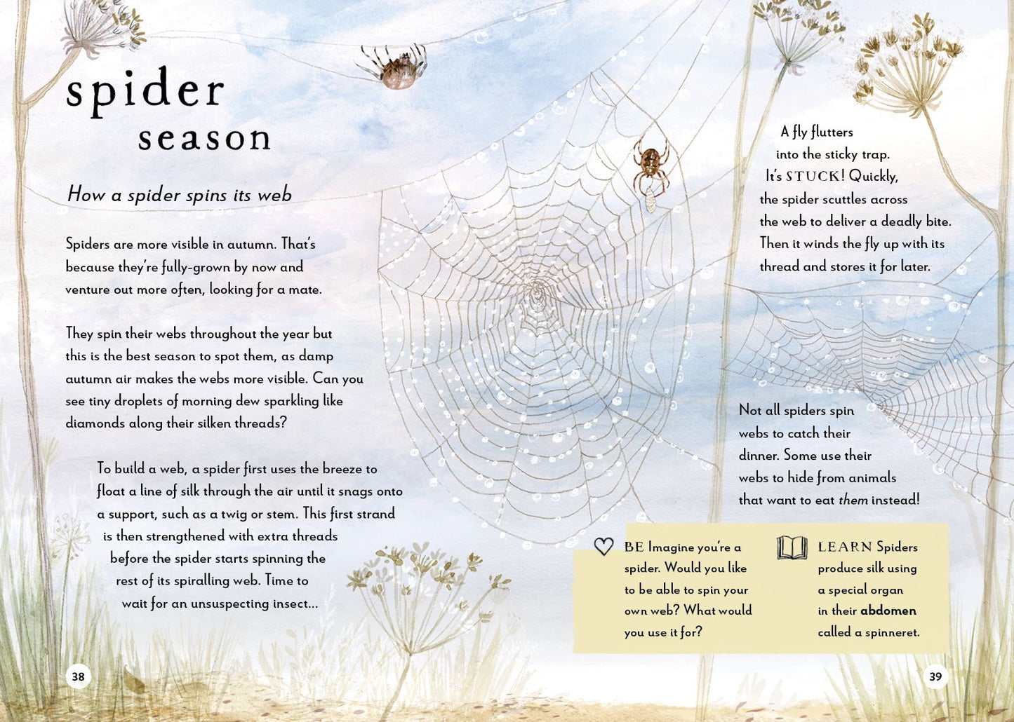 A Field Guide to Autumn: Play and learn in nature