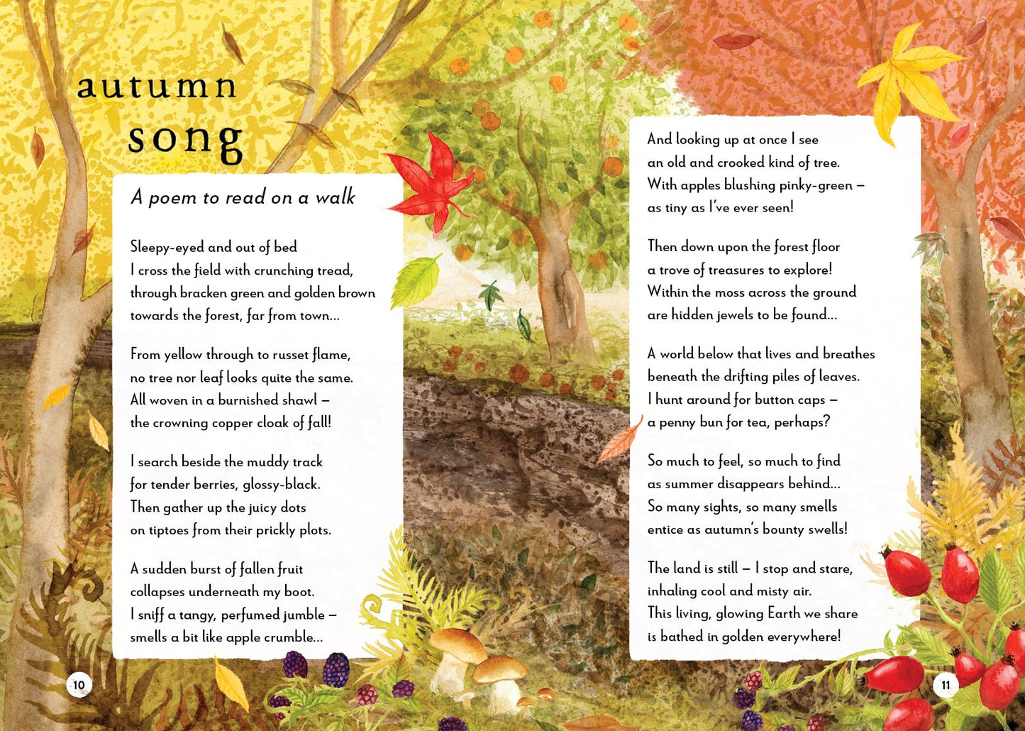 A Field Guide to Autumn: Play and learn in nature