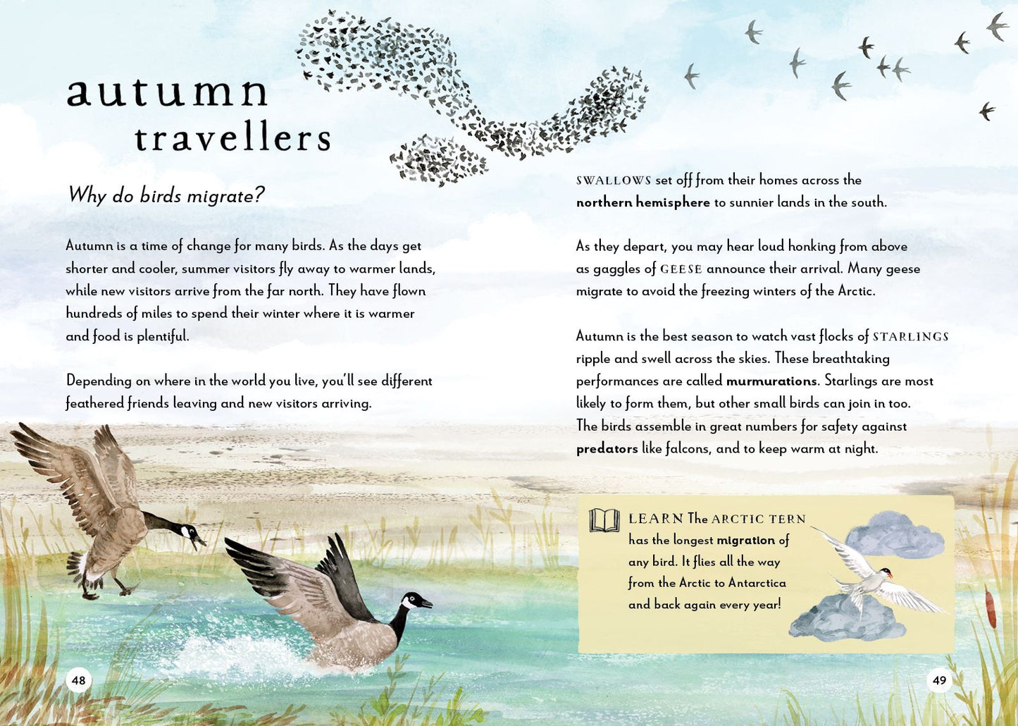 A Field Guide to Autumn: Play and learn in nature