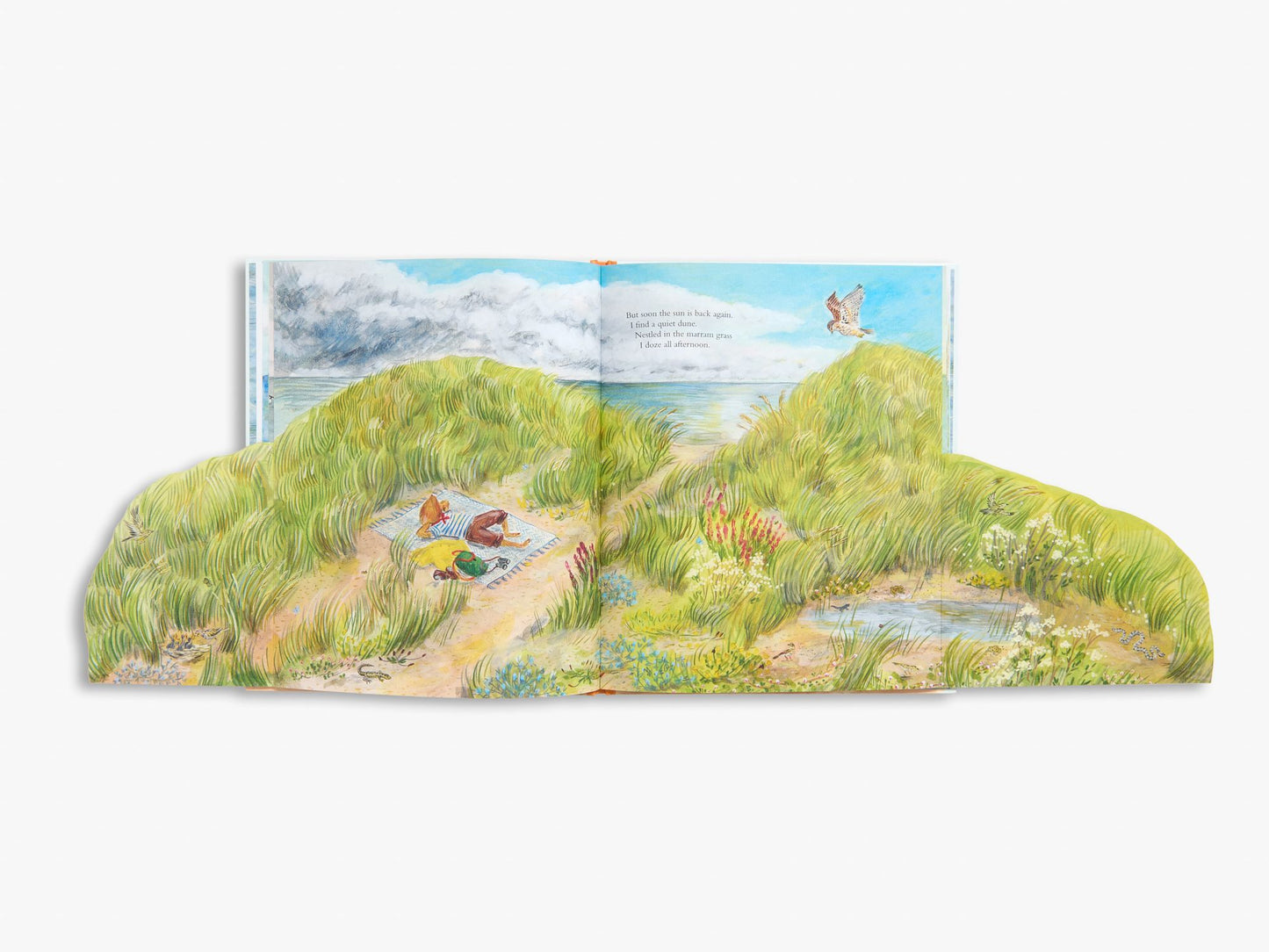 Mouse by the Sea: A Vacation in Nature