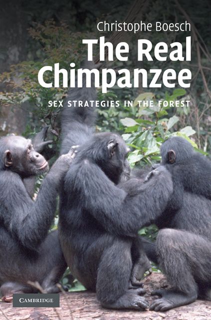 The Real Chimpanzee: Sex Strategies in the Forest