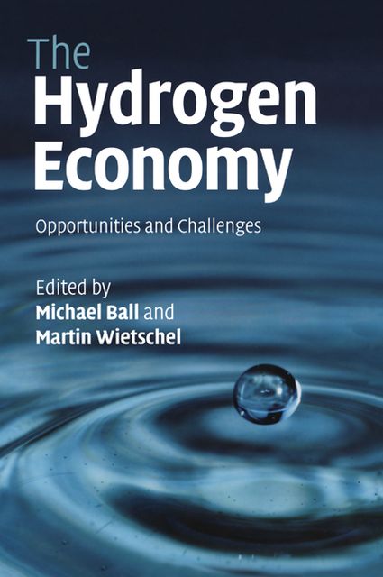 The Hydrogen Economy: Opportunities and Challenges
