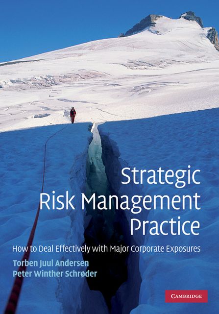 Strategic Risk Management Practice: How to Deal Effectively with Major Corporate Exposures