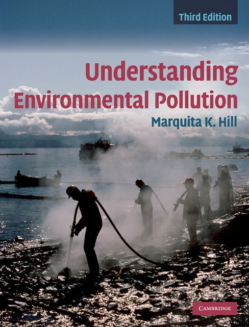 Understanding Environmental Pollution