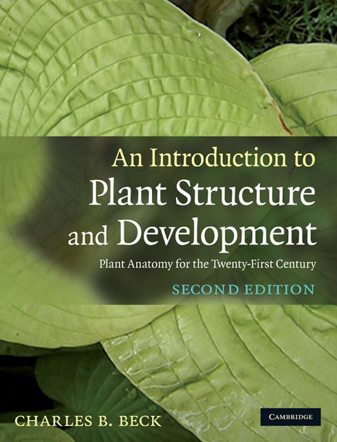 An Introduction to Plant Structure and Development: Plant Anatomy for the Twenty-First Century
