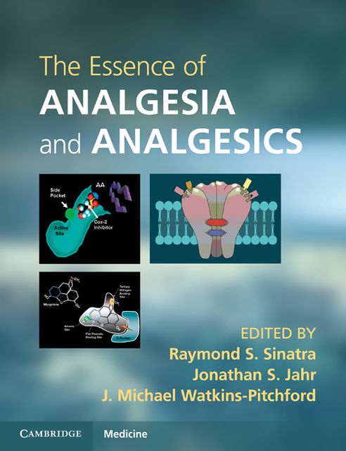 The Essence of Analgesia and Analgesics
