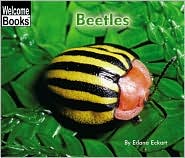 Beetles