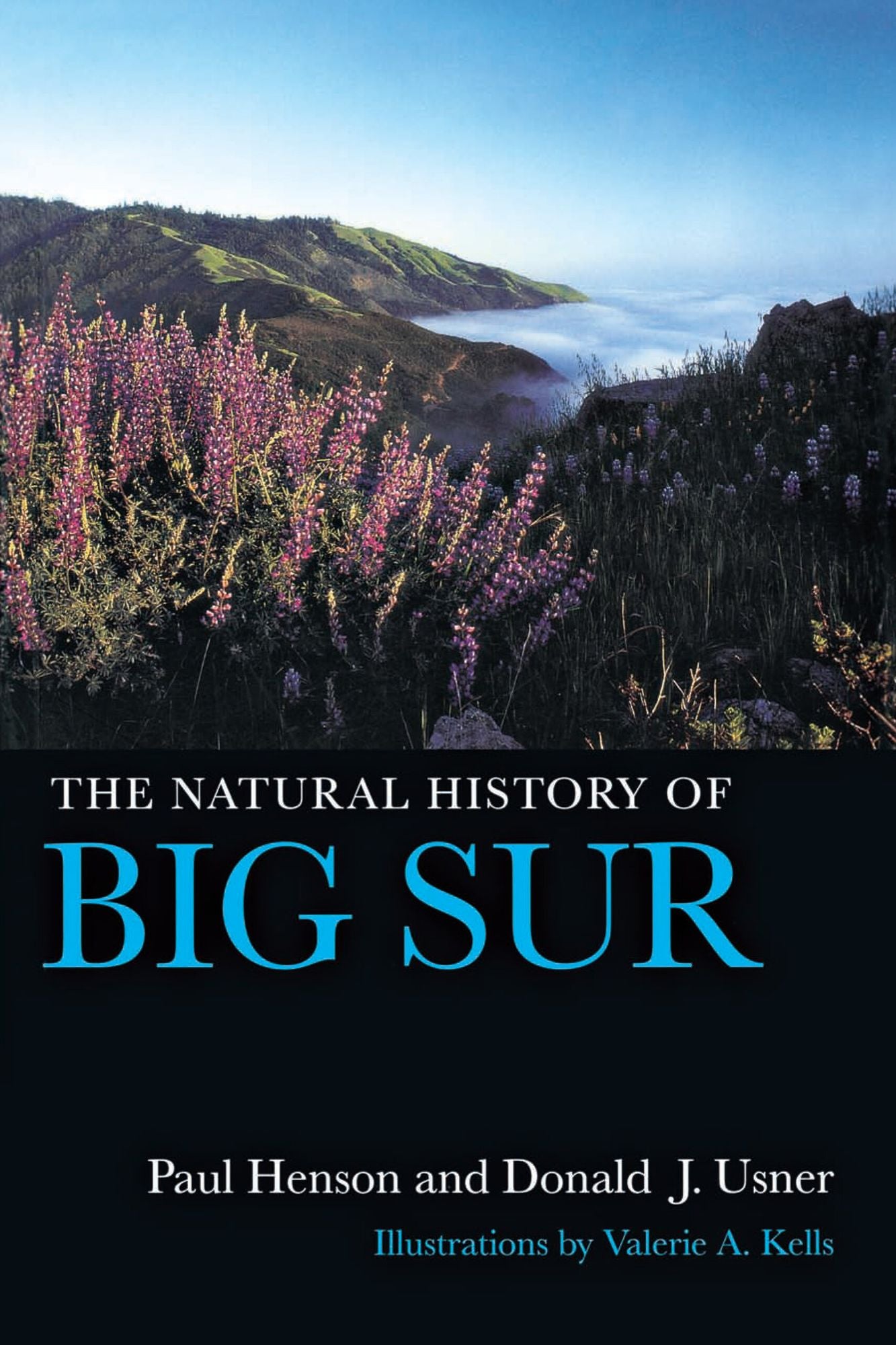 The Natural History of Big Sur