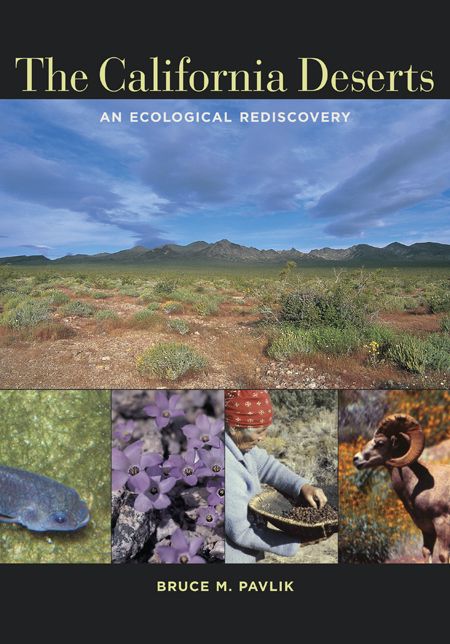 The California Deserts: An Ecological Rediscovery