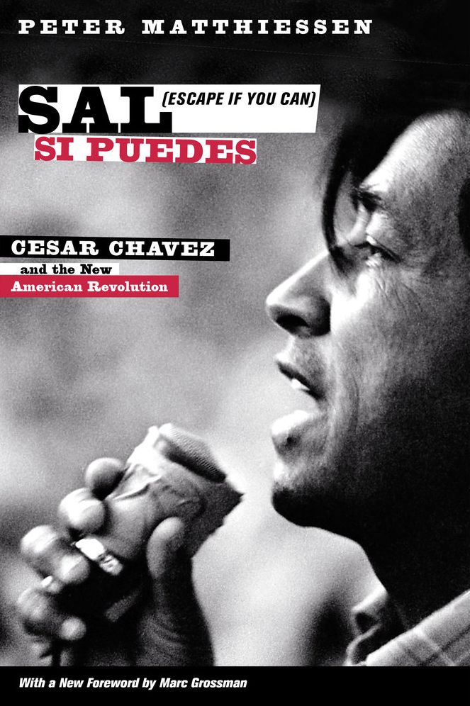 Sal Si Puedes (Escape if You Can)
