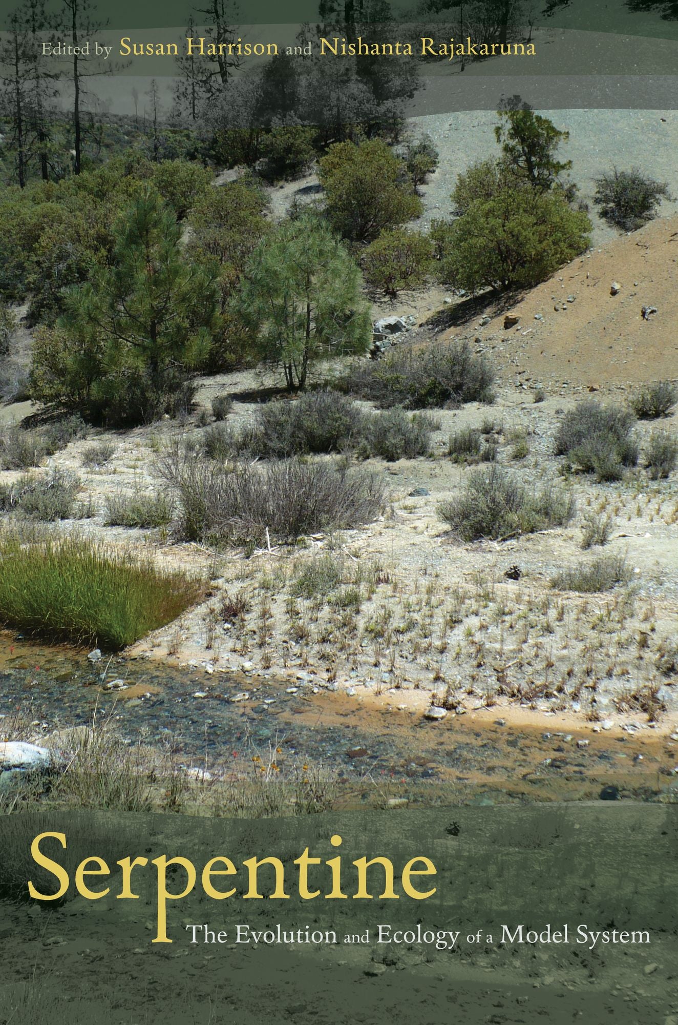 Serpentine: The Evolution and Ecology of a Model System