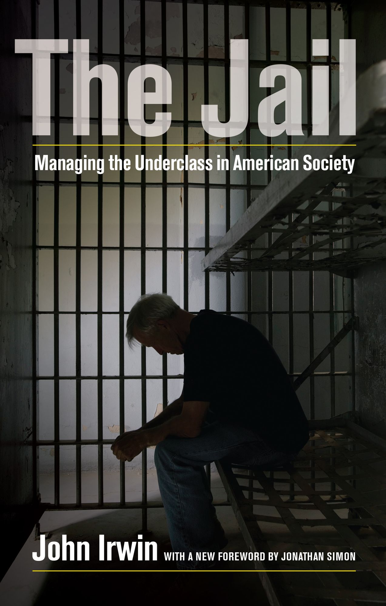 The Jail: Managing the Underclass in American Society