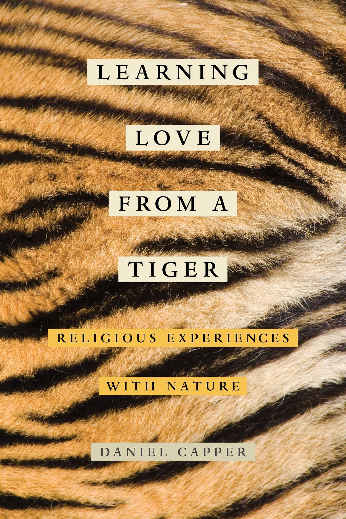 Learning Love from a Tiger: Religious Experiences with Nature