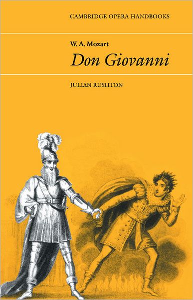 W. A. Mozart: Don Giovanni: (Cambridge Opera Handbooks Series)