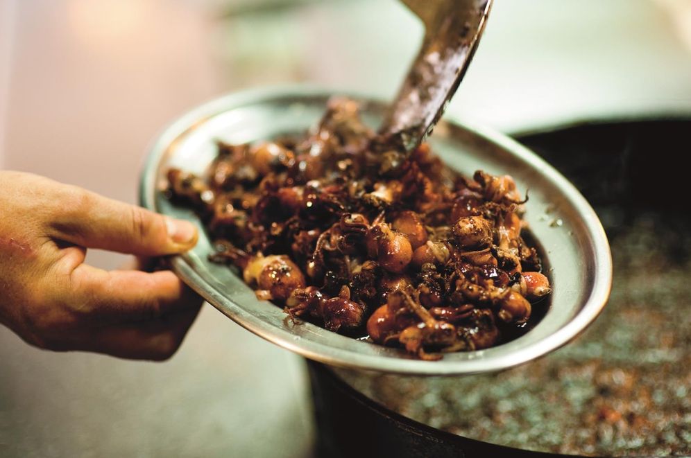 MoVida's Guide to Barcelona