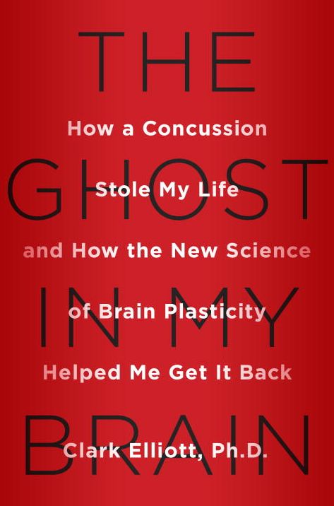 The Ghost in My Brain: How a Concussion Stole My Life and How the New Science of Brain Plasticity Helped Me Get it Back