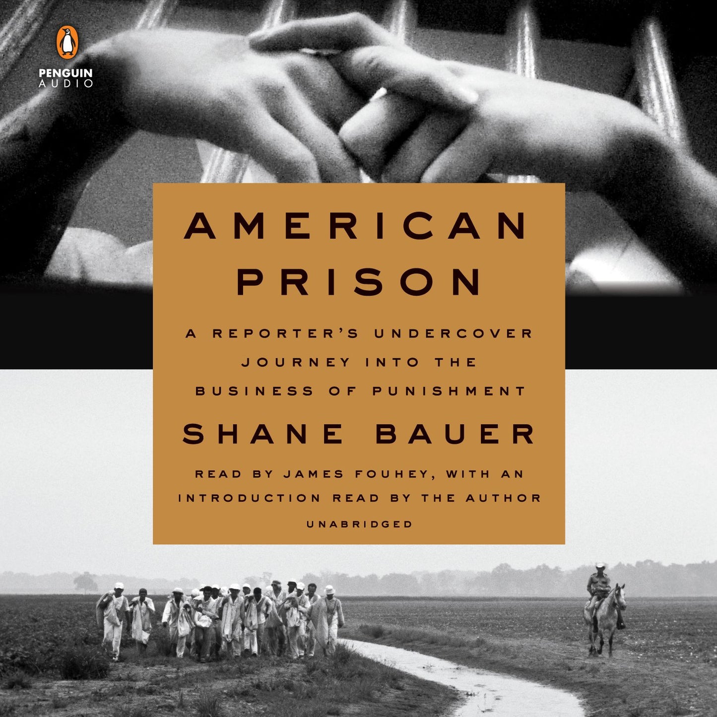 American Prison: A Reporter's Undercover Journey Into the Business of Punishment