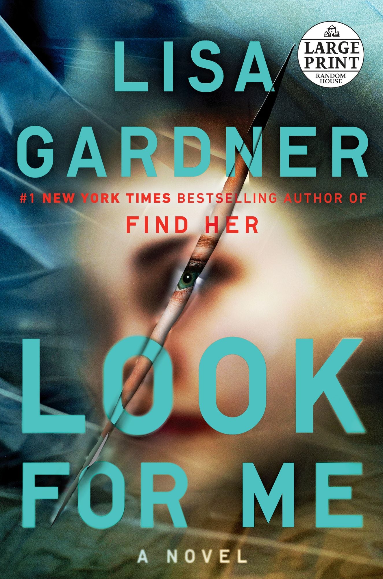 Look for Me (Detective D. D. Warren Series #9)