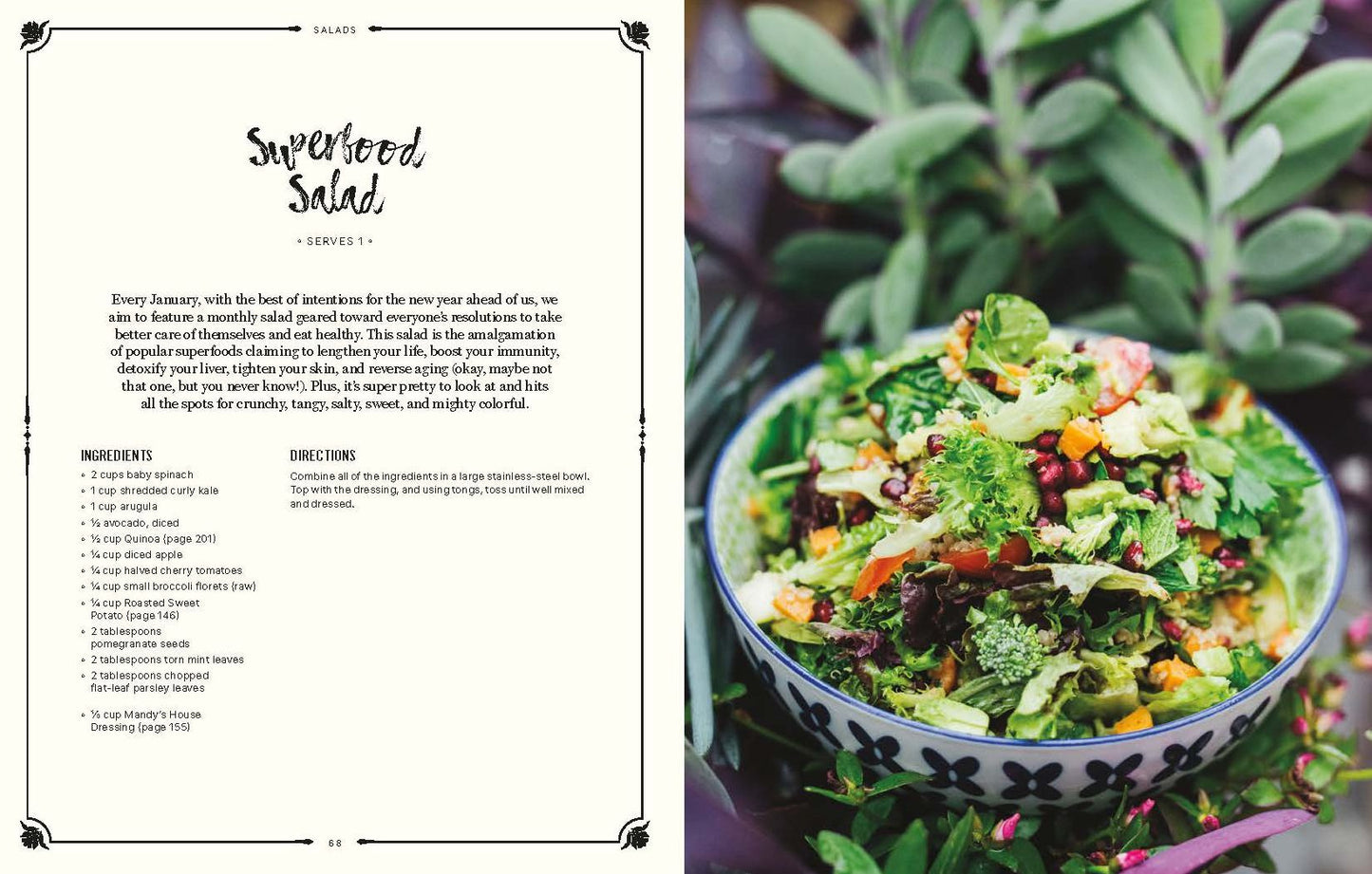 Mandy's Gourmet Salads