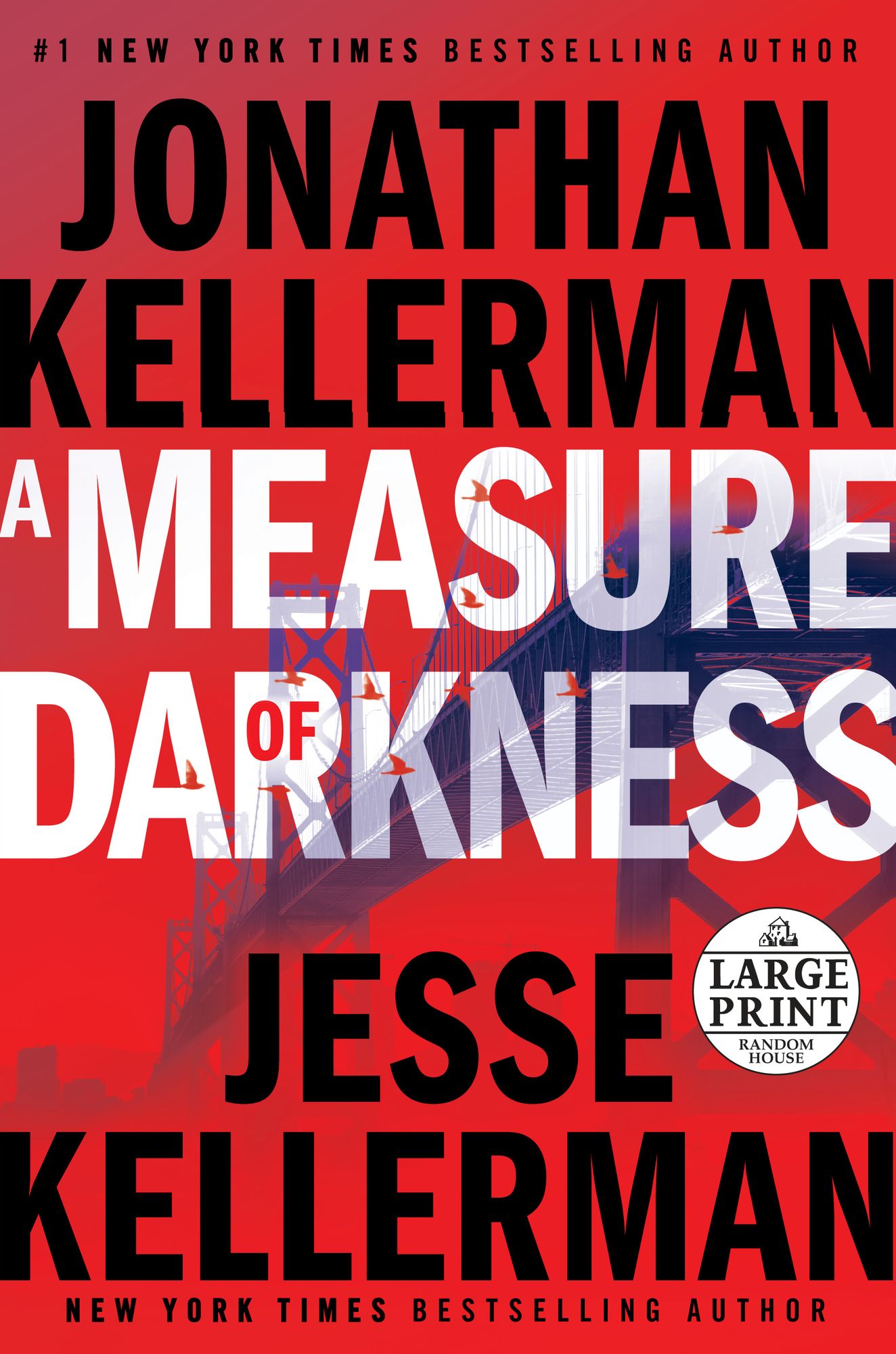 A Measure of Darkness (Clay Edison Series #2)