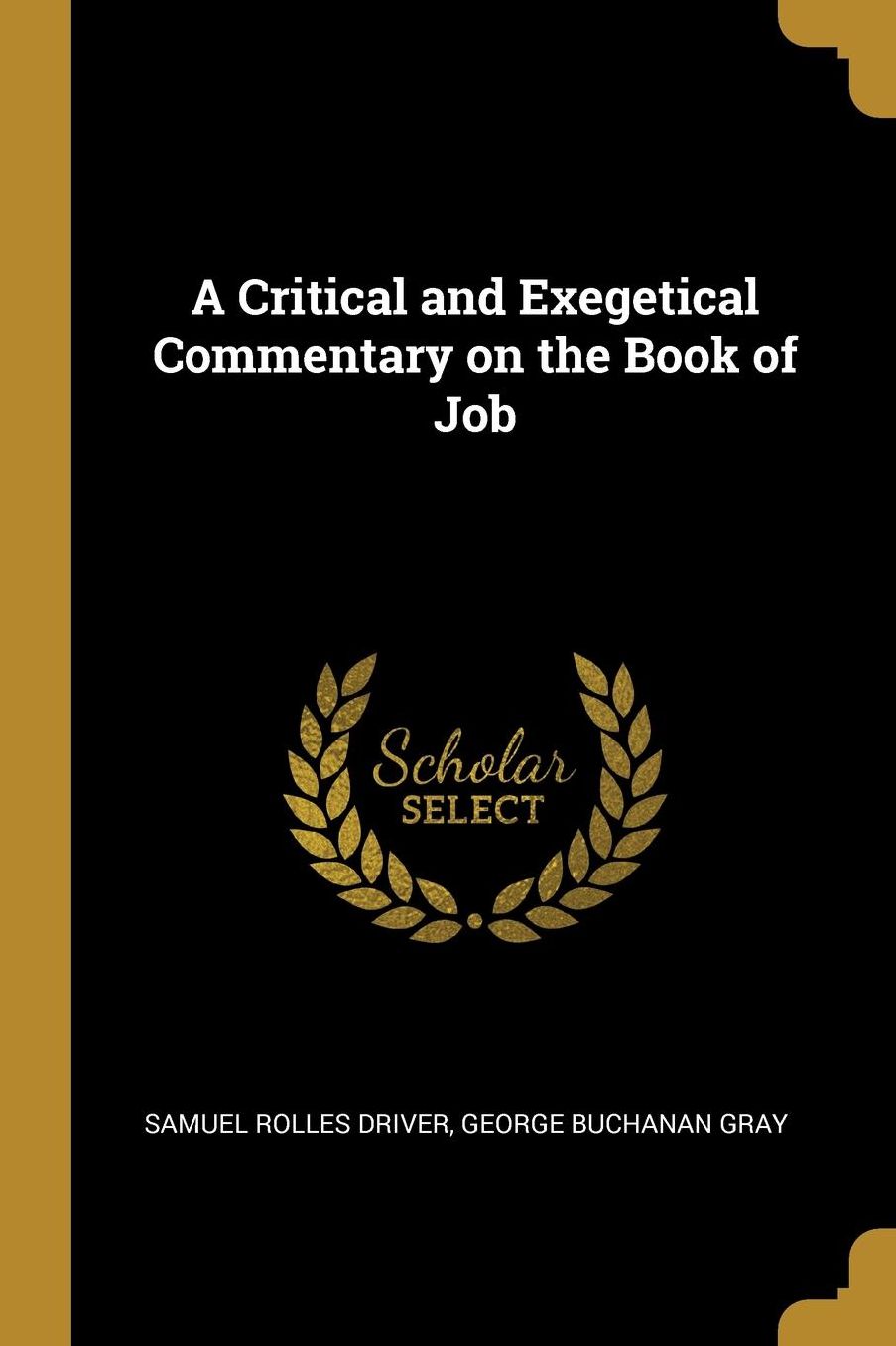 A Critical and Exegetical Commentary on the Book of Job