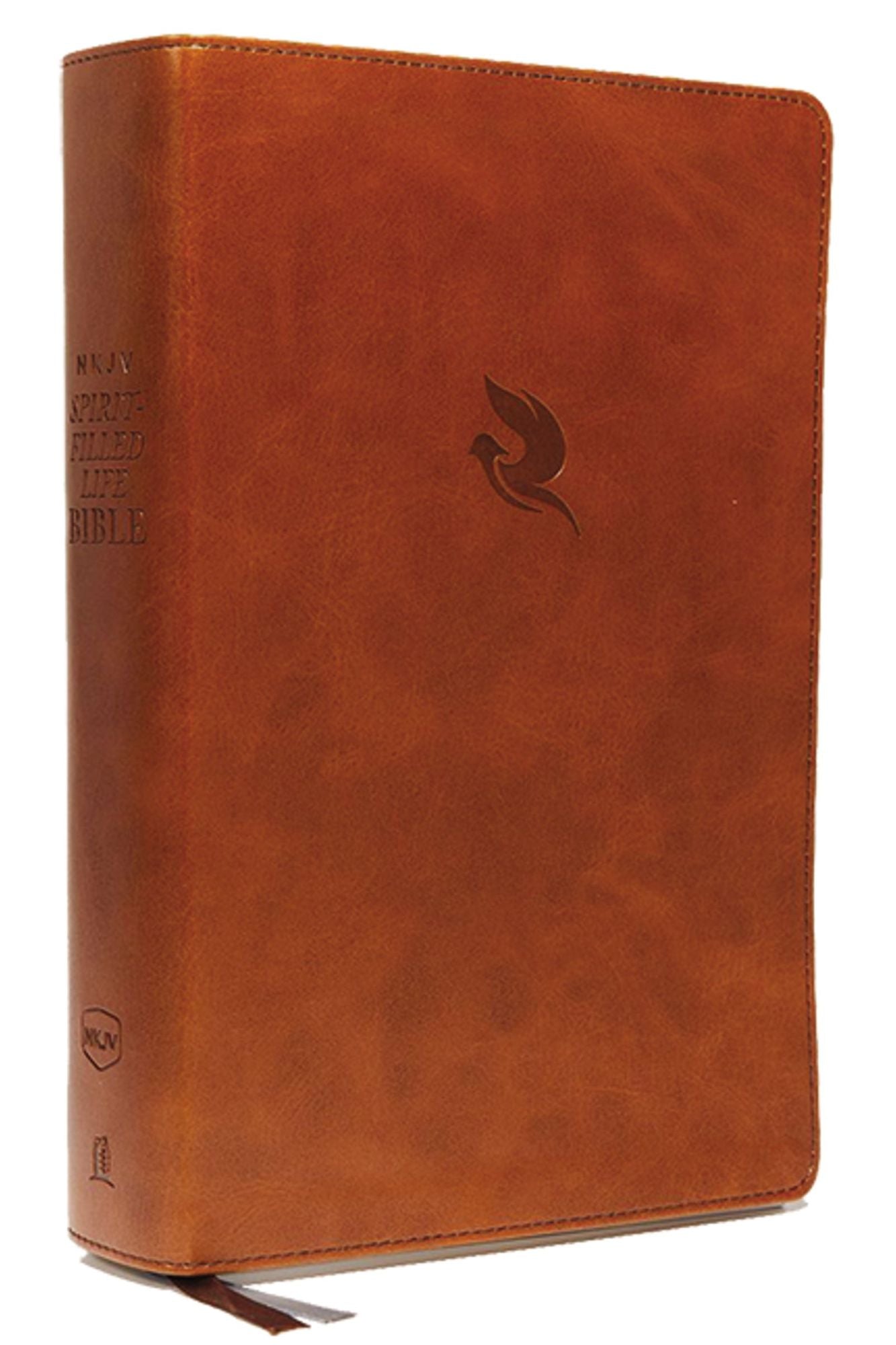Study Bible: New American Standard Bible (NASB), black Morocco leather, indexed, gold box overlap