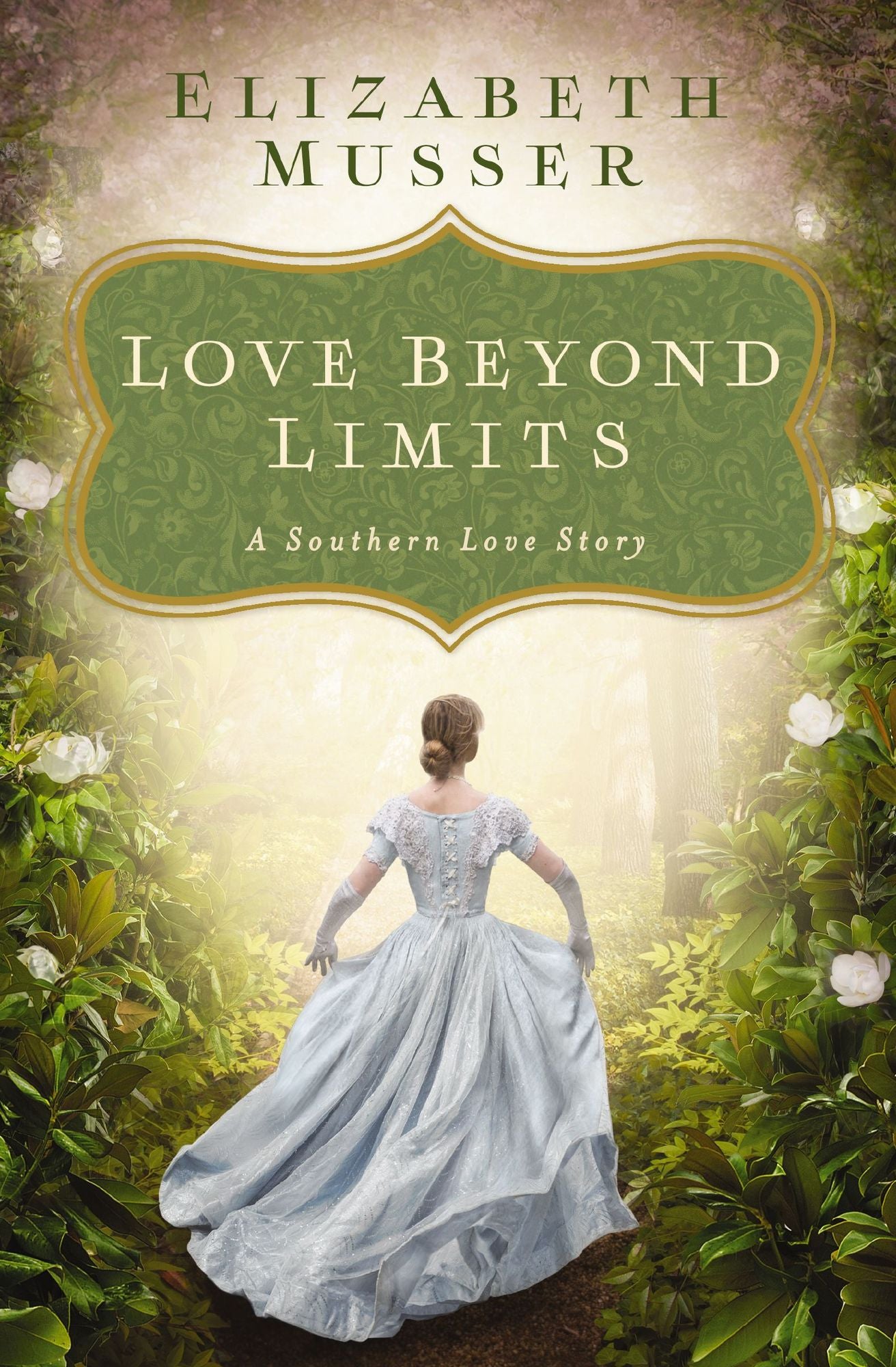 Love Beyond Limits: A Southern Love Story