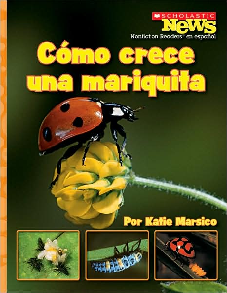 Como crece una mariquita: A Ladybug Larva Grows Up
