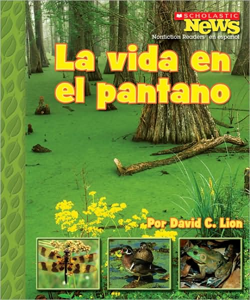 La vida en la pantano: A Home in the Swamp