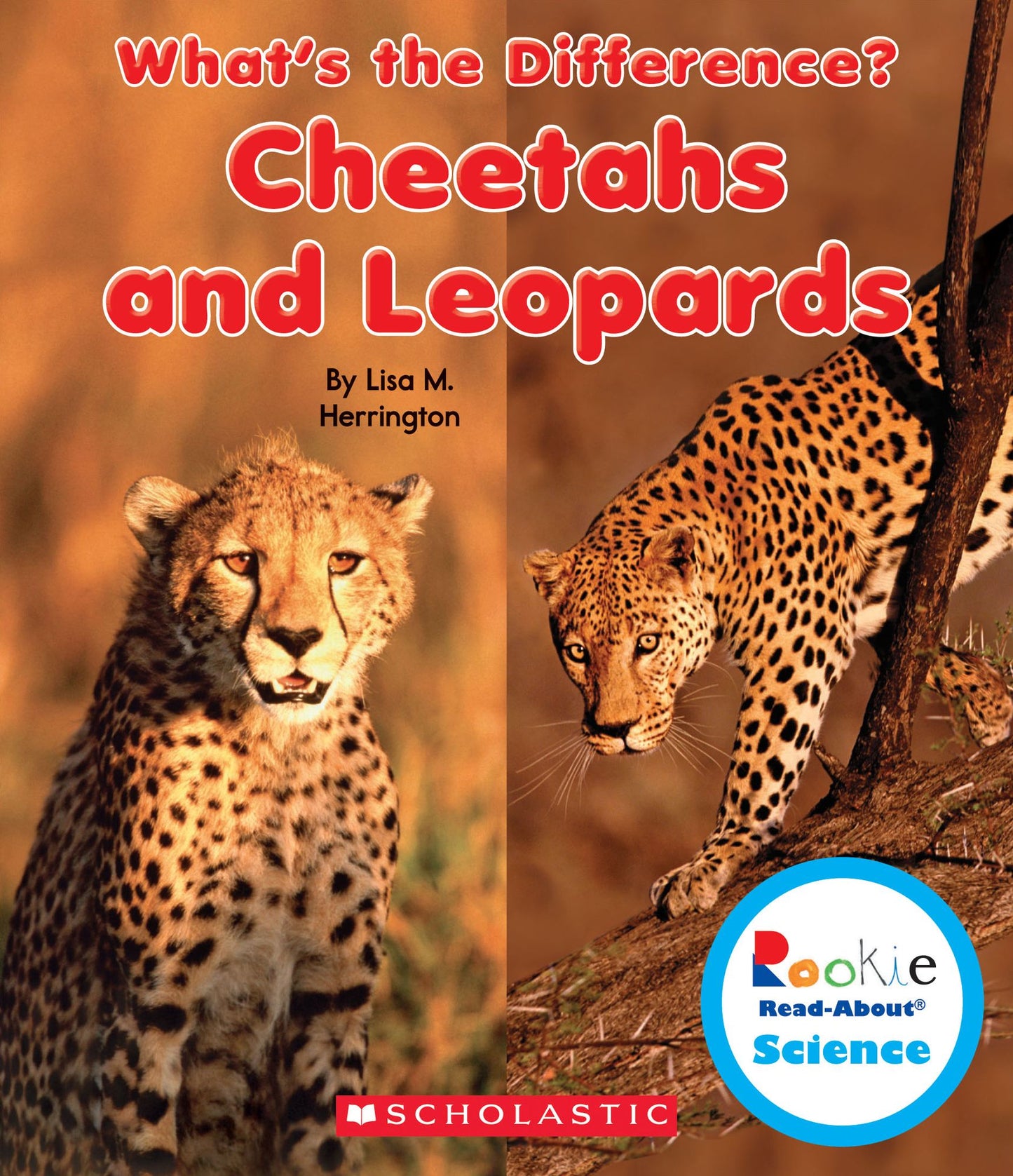 Cheetahs and Leopards